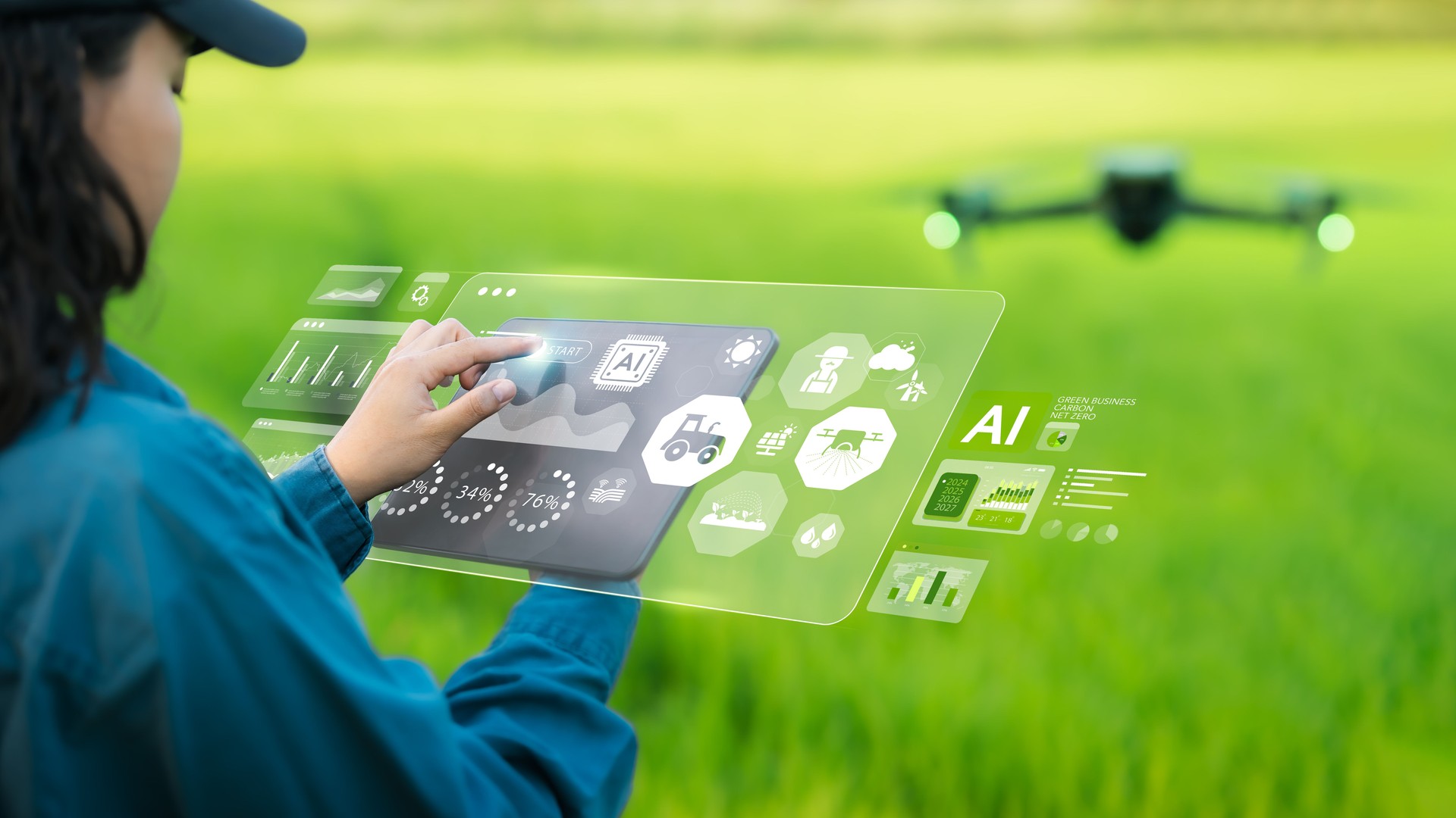 Young farmer woman is inspecting and controlling a drone in a green wheat field. Modern technology in digital farming. Analysis and control of plant quality in soil, smart digital agriculture