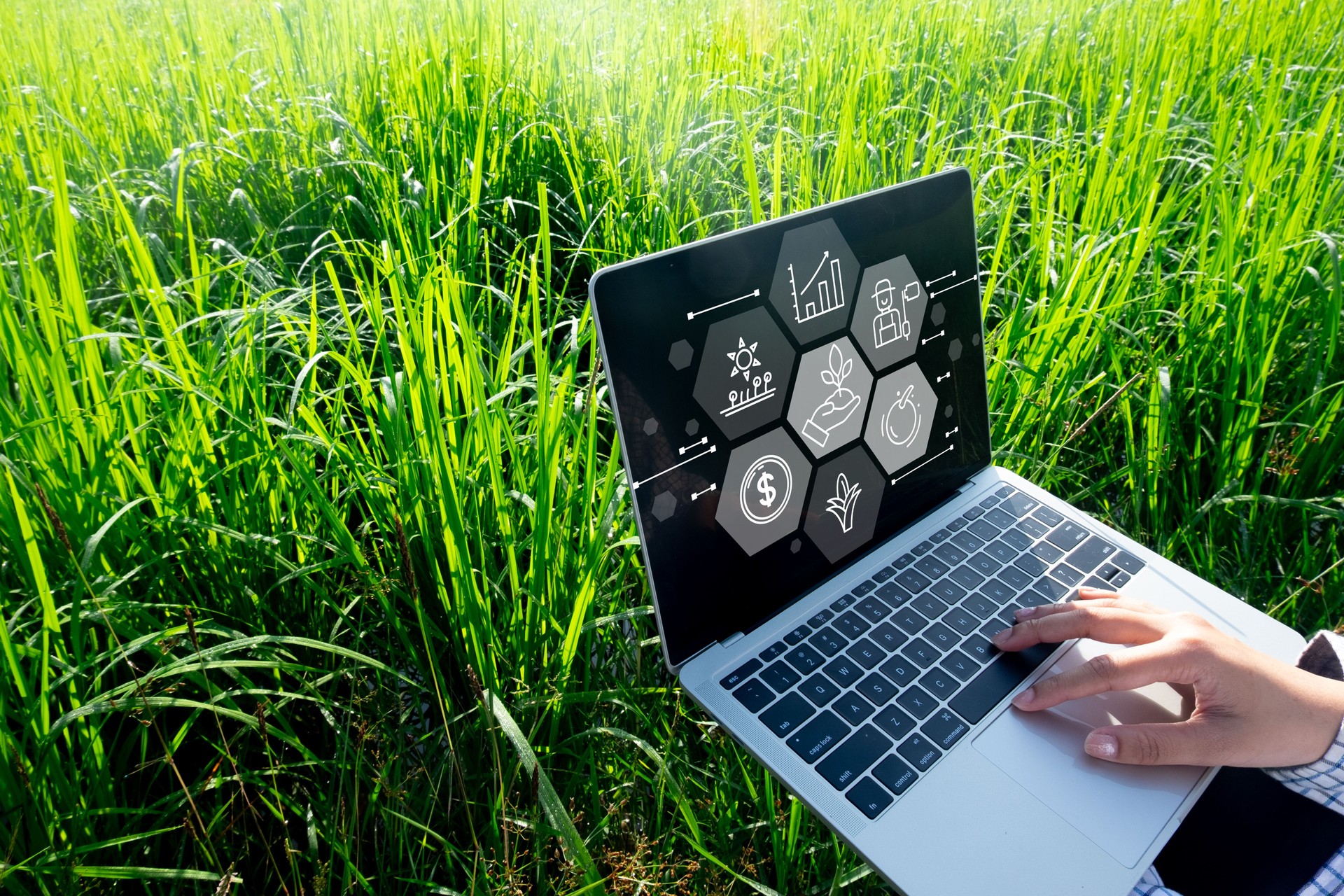Agricultural practices.